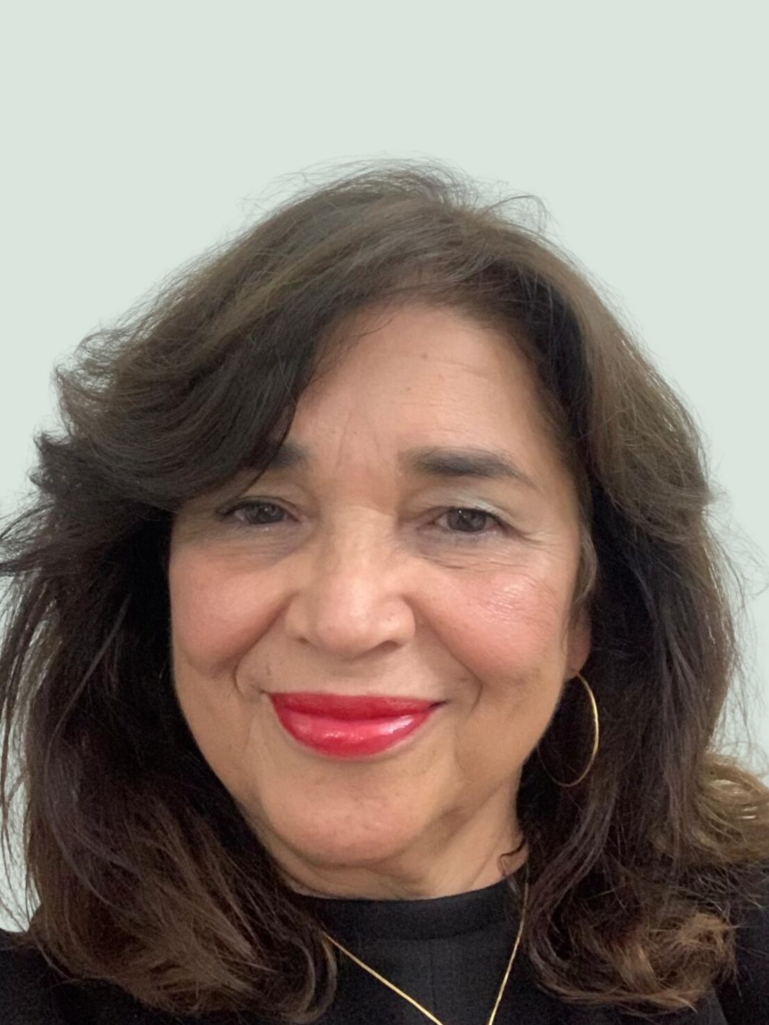 Monica Janete piccirillo de melo